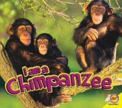 Chimpanzee - Carr, Aaron