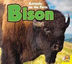 Bison - Carr, Aaron