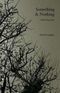 Something & Nothing - Lindley, David