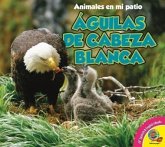 Aguilas de Cabeza Blanca