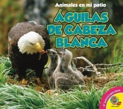 Aguilas de Cabeza Blanca - McDowell, Pamela