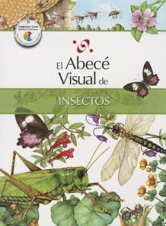 El Abece Visual de los Insectos = The Illustrated Basics of Insects