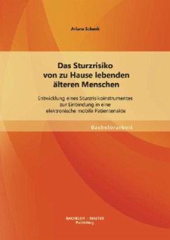 Das Sturzrisiko von zu Hause lebenden älteren Menschen: Entwicklung eines Sturzrisikoinstrumentes zur Einbindung in eine elektronische mobile Patientenakte - Schenk, Ariane