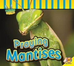 Praying Mantises - Carr, Aaron