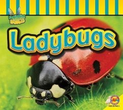 Ladybugs - Carr, Aaron