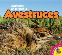 Avestruces - Yasuda, Anita