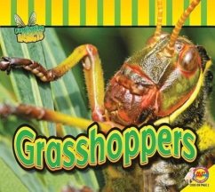 Grasshoppers - Carr, Aaron