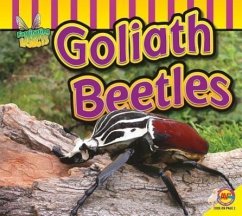 Goliath Beetle - Carr, Aaron