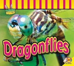 Dragonflies - Carr, Aaron