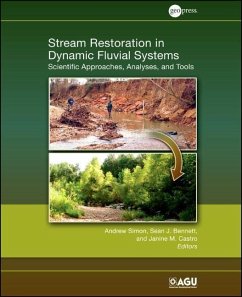 Cover Stream Restoration in Dynamic Fluvial Systems (eBook, PDF)