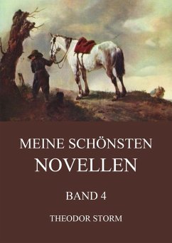 Meine schönsten Novellen, Band 4 (eBook, ePUB) - Storm, Theodor