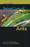 Secret Lives of Ants (eBook, ePUB)