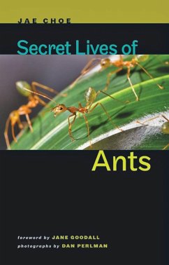 Secret Lives of Ants (eBook, ePUB) - Choe, Jae