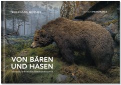 Von Bären und Hasen - Mothes, Wolfgang