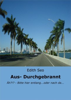 Aus-/ Durchgebrannt (eBook, ePUB) - Seo, Edith