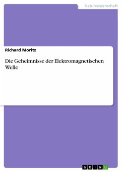 Die Geheimnisse der Elektromagnetischen Welle - Moritz, Richard