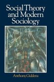 Social Theory and Modern Sociology (eBook, ePUB)