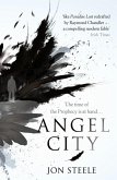 Angel City (eBook, ePUB)