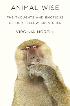 Animal Wise (eBook, ePUB) - Morell, Virginia