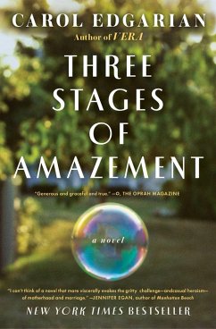 Three Stages of Amazement (eBook, ePUB) - Edgarian, Carol