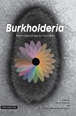 Burkholderia Burkholderia