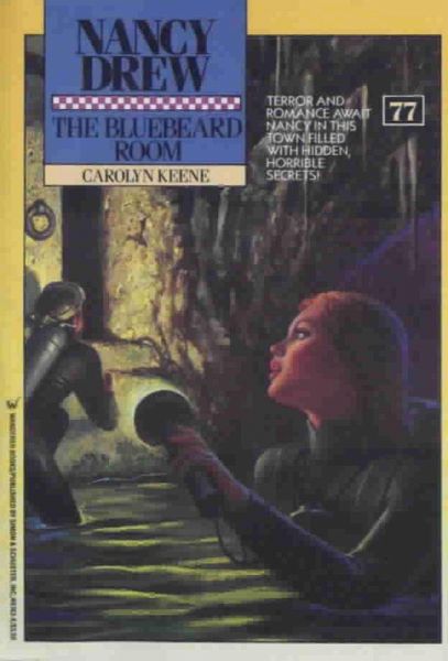 The Bluebeard Room (eBook, ePUB)