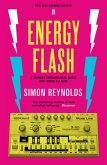 Energy Flash (eBook, ePUB)