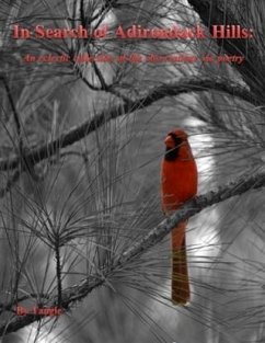 Cover In Search of Adirondack Hills (eBook, ePUB)