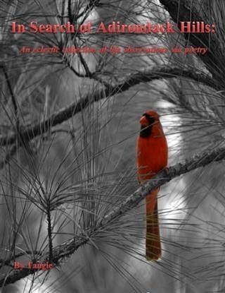 In Search of Adirondack Hills (eBook, ePUB) In Search of Adirondack Hills (eBook, ePUB)