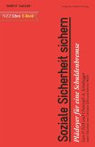 Soziale Sicherheit sichern (eBook, ePUB)