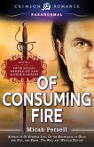 Of Consuming Fire (eBook, ePUB)