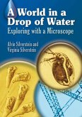 A World in a Drop of Water (eBook, ePUB)