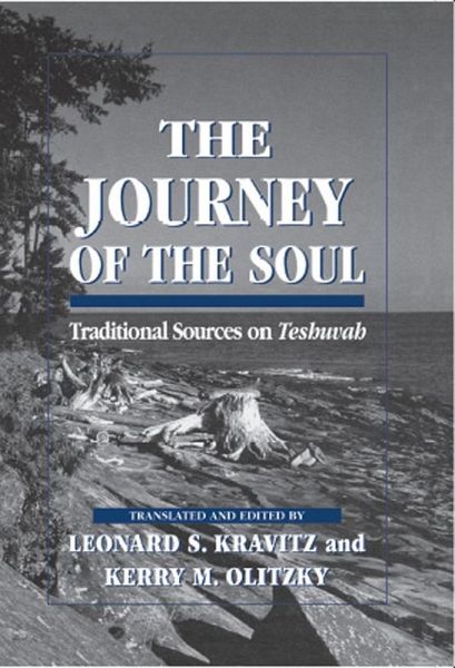 The Journey of the Soul (eBook, ePUB) The Journey of the Soul (eBook, ePUB)