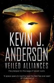 Veiled Alliances (eBook, ePUB)