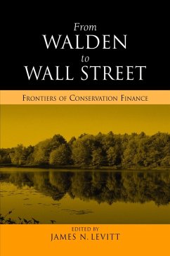 From Walden to Wall Street (eBook, ePUB) - Levitt, James N.