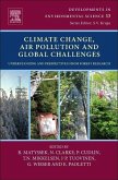 Climate Change, Air Pollution and Global Challenges