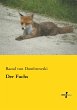 Der Fuchs - Bild 1