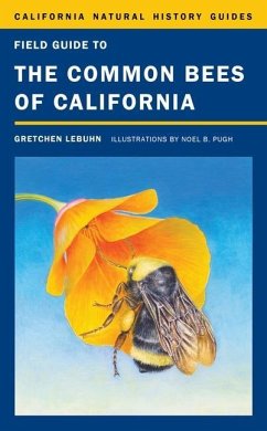 Field Guide to the Common Bees of California (eBook, ePUB) - Lebuhn, Gretchen