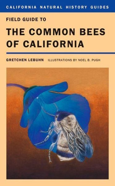 Field Guide to the Common Bees of California (eBook, ePUB)