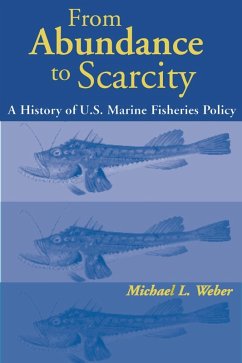 Cover From Abundance to Scarcity (eBook, ePUB)
