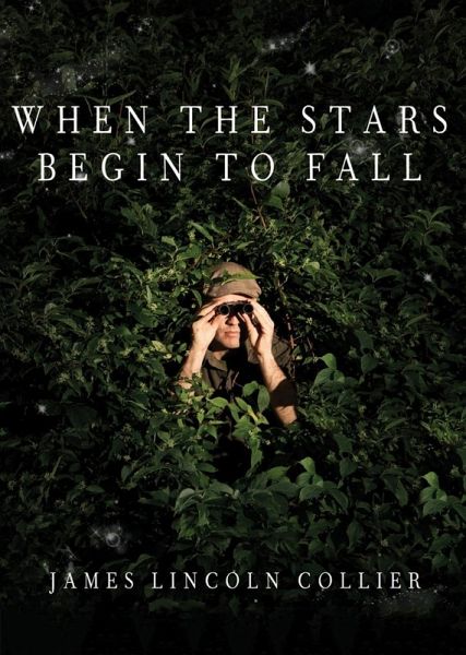 When the Stars Begin to Fall (eBook, ePUB)
