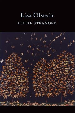 Little Stranger (eBook, ePUB) - Olstein, Lisa