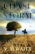 Chase the Storm (eBook, ePUB) - Bild 1