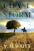 Chase the Storm (eBook, ePUB)