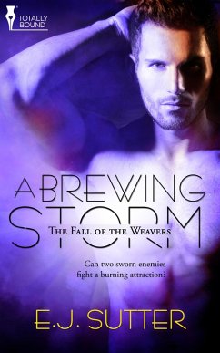 Cover A Brewing Storm (eBook, ePUB)