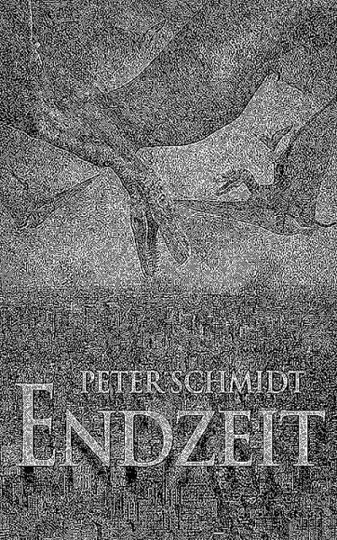 Endzeit (eBook, ePUB)