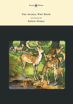 The Animal Why Book - Pictures by Edwin Noble - Pycraft, W. P.