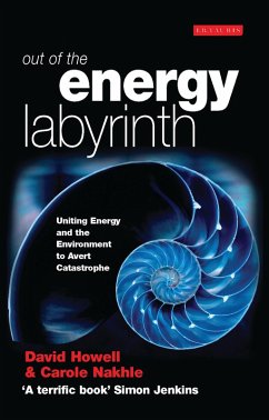 Out of the Energy Labyrinth (eBook, PDF) - Howell, David; Nakhle, Carole