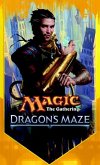 Dragon's Maze (eBook, ePUB)