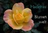 Madeiras Blumenwelt (Tischaufsteller... - Bild 1